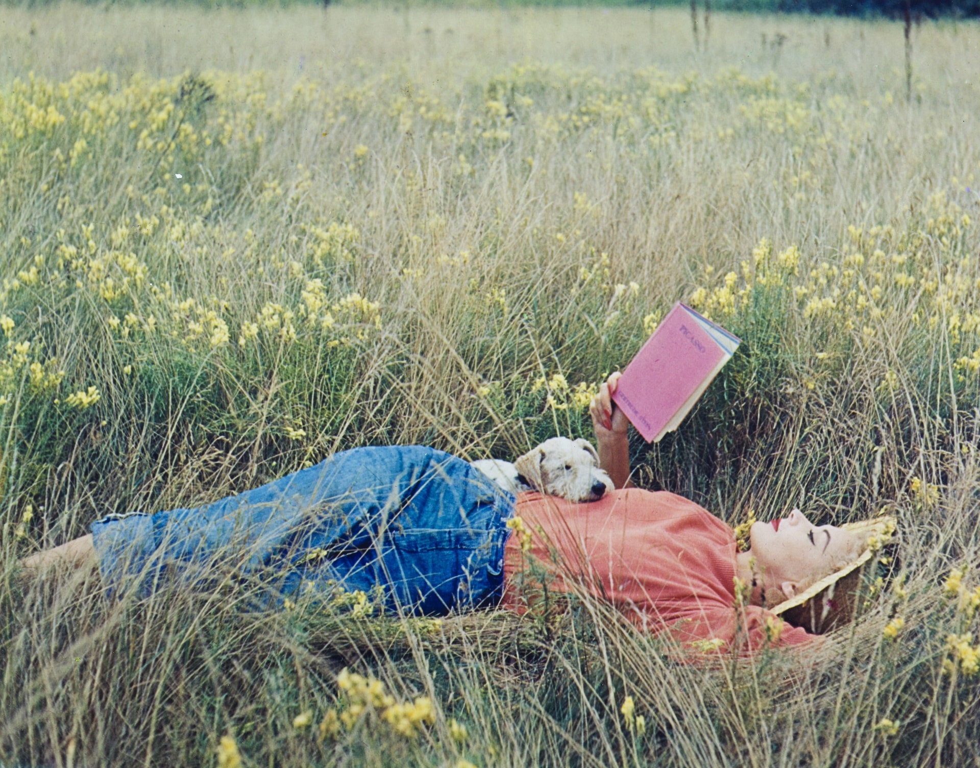 Irving Penn, Lisa Fonssagrives-Penn sdraiata sull’erba, legge il libro su Picasso di Gertrude Stein, 1952, Vogue © Condé Nast