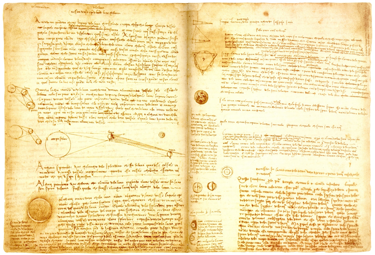 "Codice Leicester" dal 1980 noto anche come "Codice Hammer" è un manoscritto comprendente 36 fogli databili tra il 1506 e il 1510. Unico dei codici di Leonardo ad essere in mano a privati, è oggi di proprietà di Bill Gates.