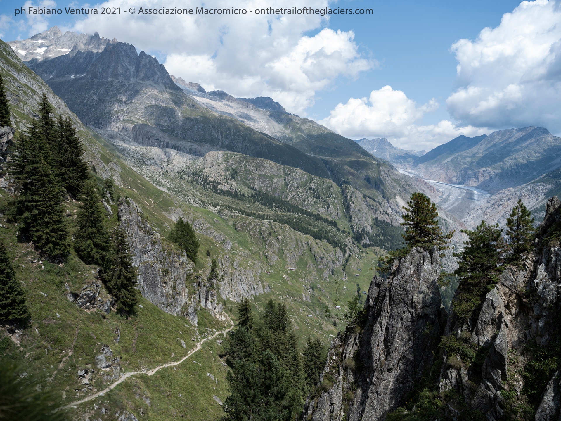 Sulle tracce dei Ghiacciai -Alpi 2021