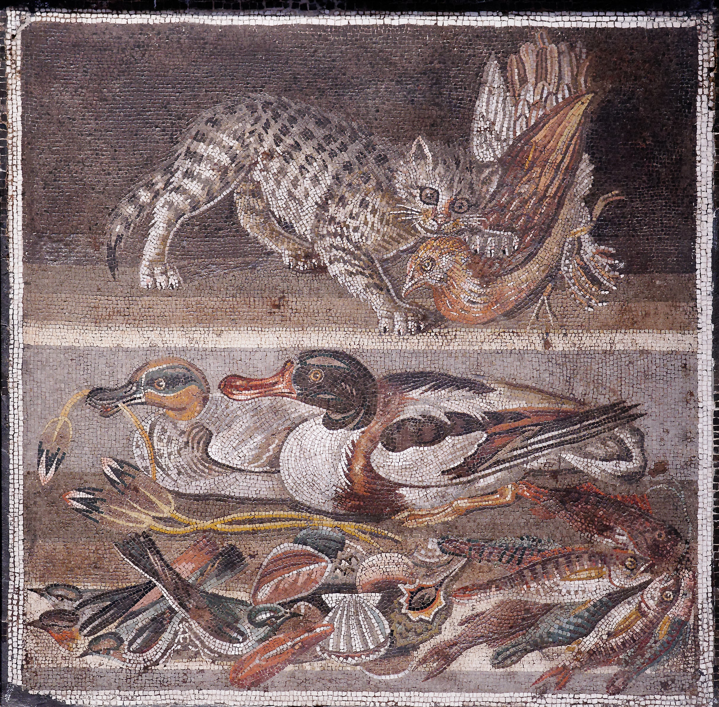 Mosaico ritrovato presso la Casa del Fauno a Pompei, oggi conservato al Museo Archeologico Nazionale di Napoli