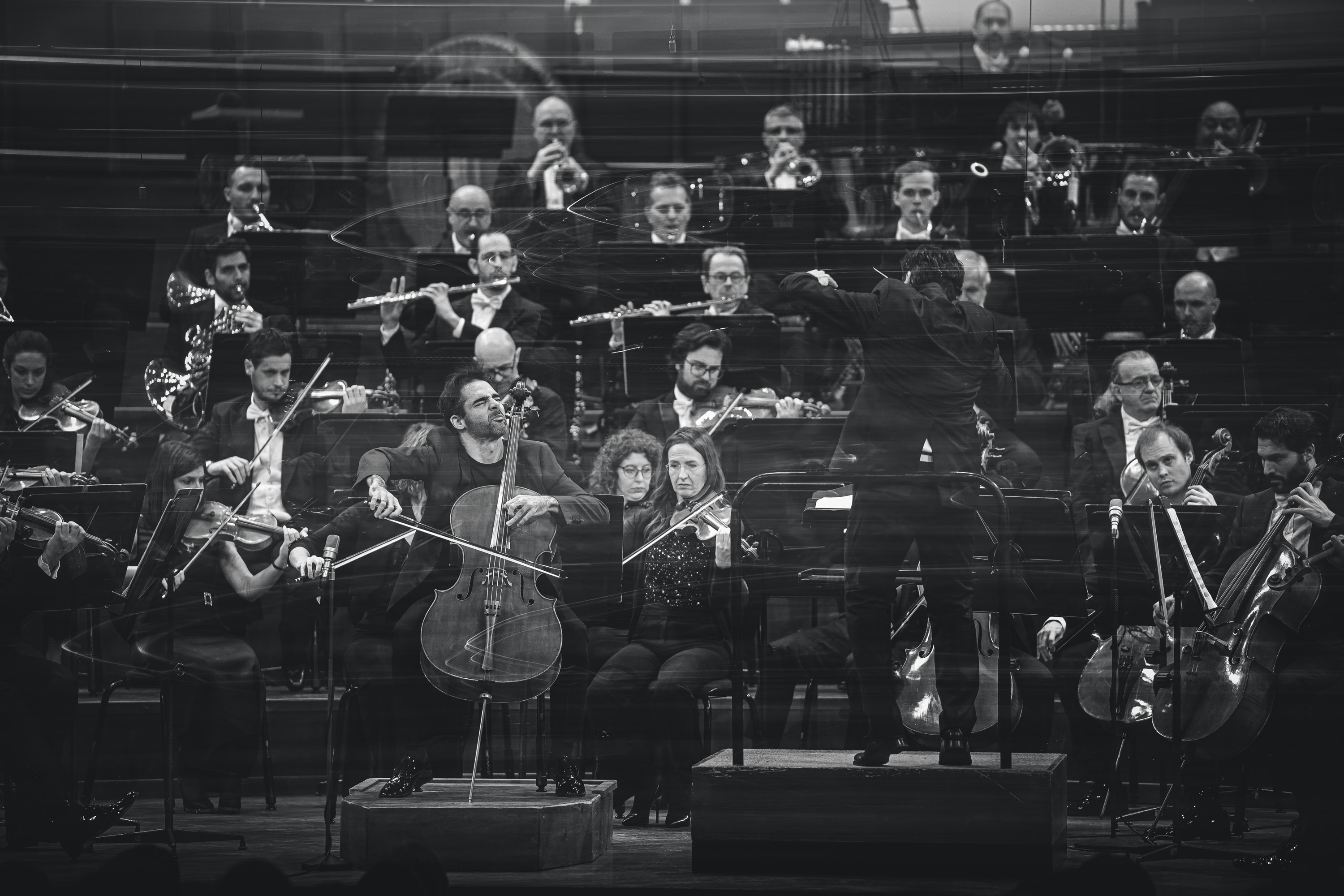 Le foto del sesto concerto della stagione sinfonica 2024/2025