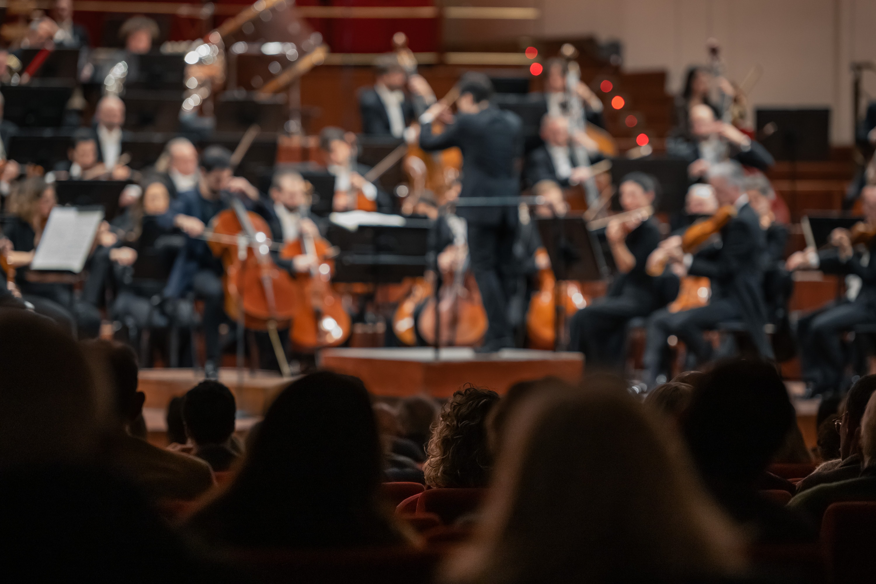 Le foto del sesto concerto della stagione sinfonica 2024/2025