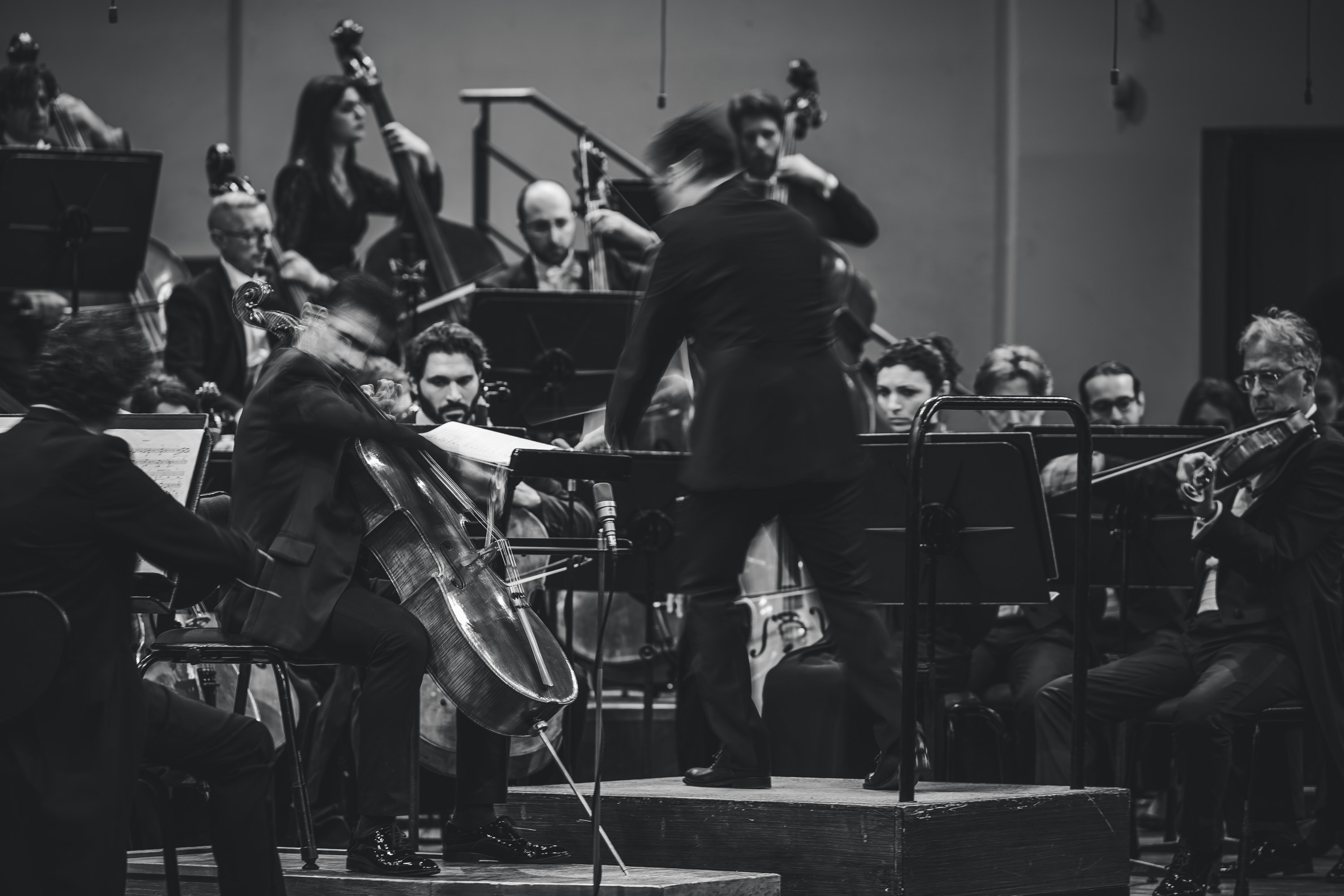 Le foto del sesto concerto della stagione sinfonica 2024/2025