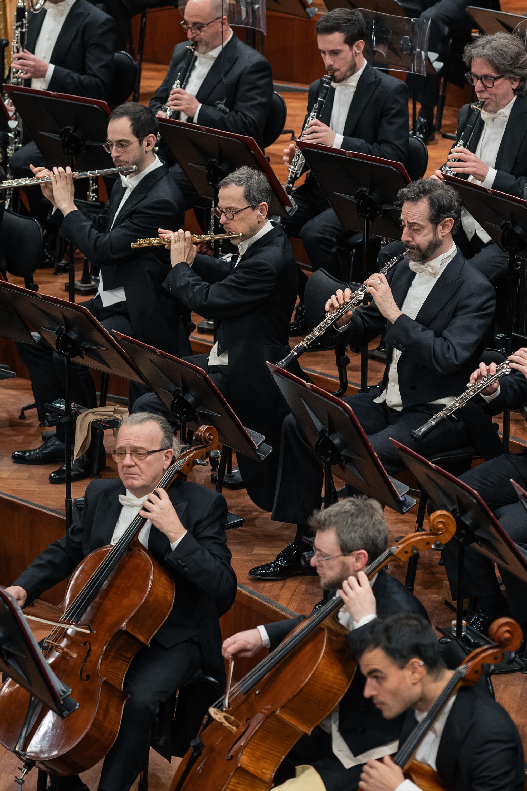 Le foto del concerto del 16 gennaio 2025 - credits: DocServizi-SergioBertani/OSNRai