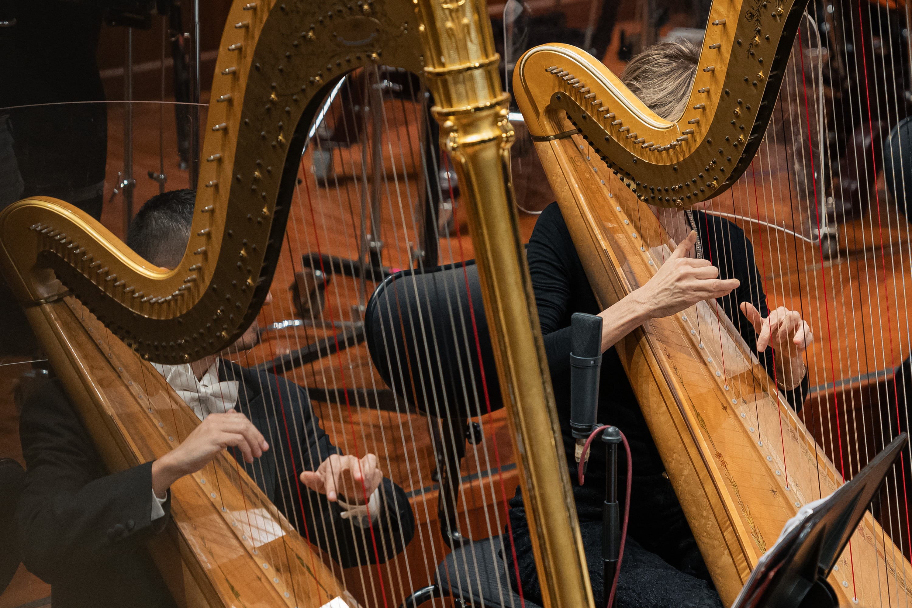 Le foto del concerto del 16 gennaio 2025 - credits: DocServizi-SergioBertani/OSNRai