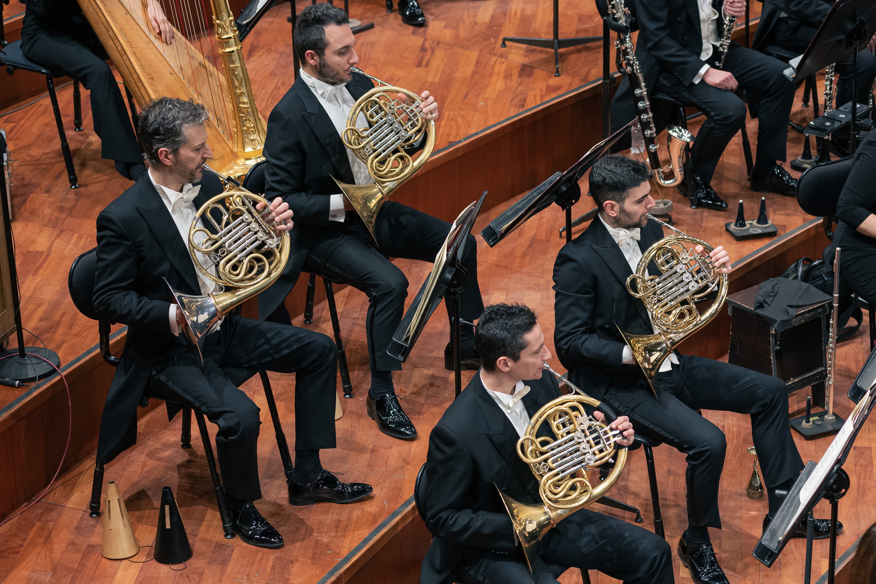 Le foto del concerto del 30 gennaio 2025 - Credits:DocServizi-SergioBertani/OSNRai